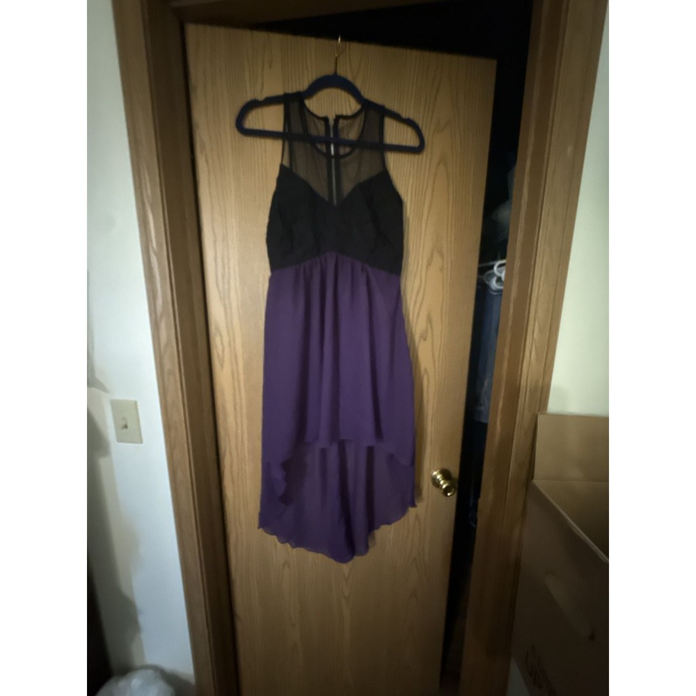 Lipstick Size 3 Black and Purple High-Low Mesh Back Zip Dress